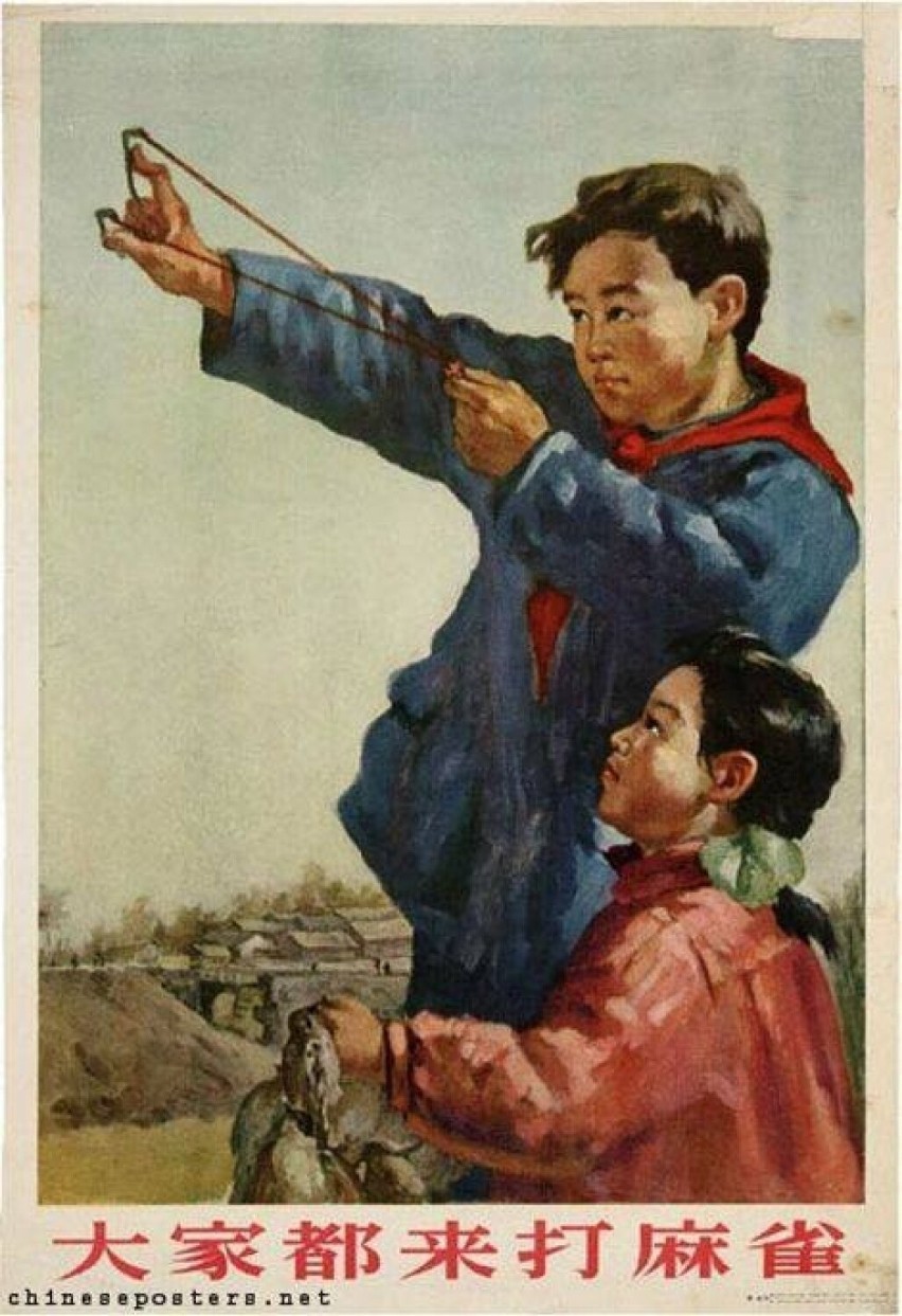 Dzieci, które w 1958 roku tak ochoczo zabijały ptaki, za 10...