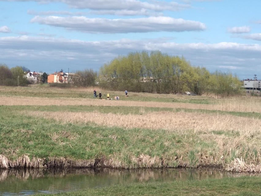 Pierwszy dzień otwarcia lasów, parków i promenad [ZDJĘCIA] 