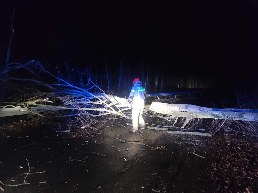 Kołobrzeg i powiat: powalone drzewa, uszkodzine dachy, ciemności z powodu braku prądu