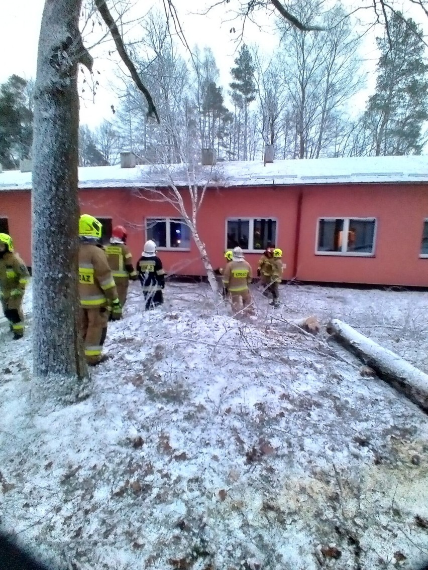 Skutki wichury w powiecie kartuskim - strażacy interweniowali 32 razy