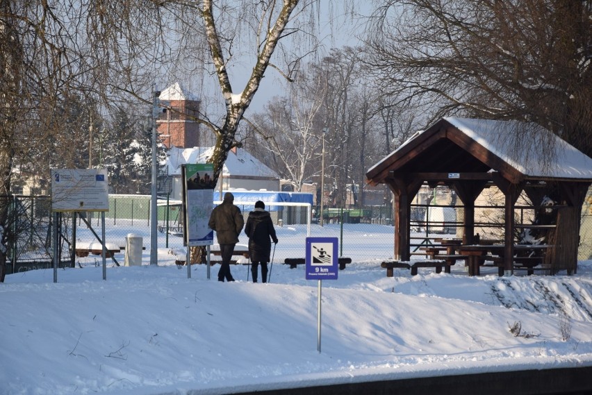 Zimowy spacer po Pruszczu Gdańskim. Mimo mrozu pruszczanie wybrali się na spacer, sanki, kijki |ZDJĘCIA