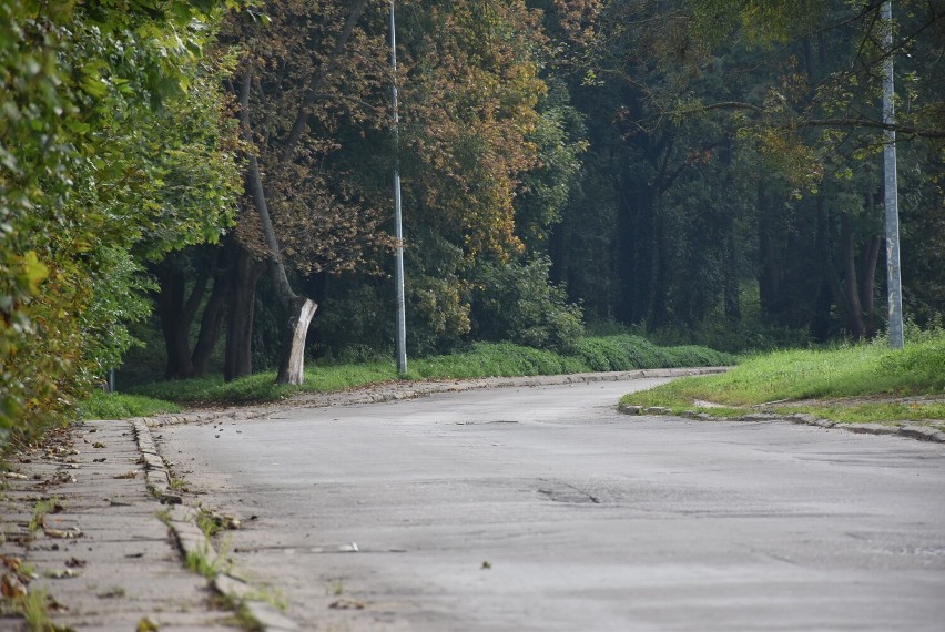 Malborka. Ulica Łąkowa aż prosi się o remont. Dziurawa nawierzchnia to problem nie tylko dla mieszkańców Piasków. Jak to widzą władze?