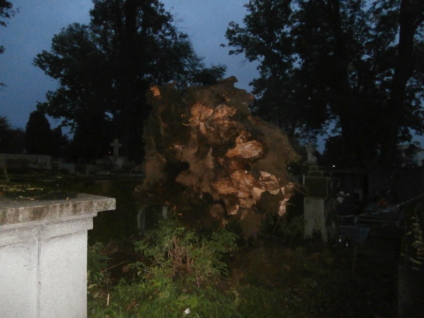 Na Starym Cmentarzu w Jarosławiu spadło drzewo i zniszczyło nagrobki [ZDJĘCIA]