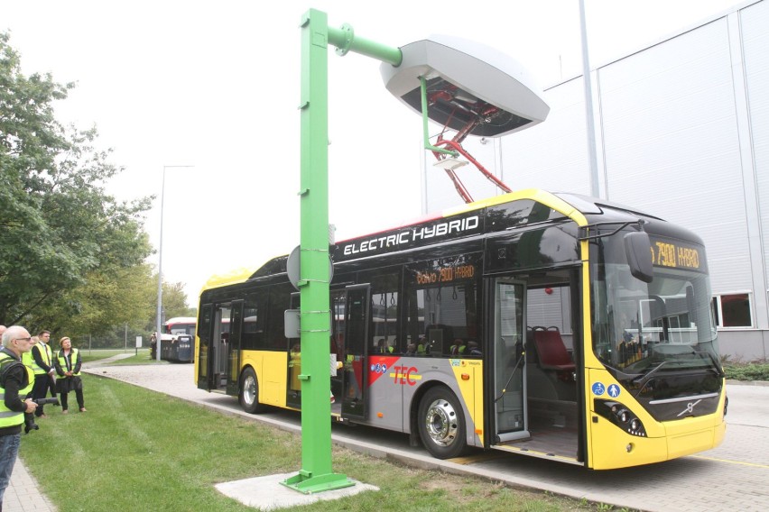 Wrocław chce kupić 50 elektrycznych autobusów
