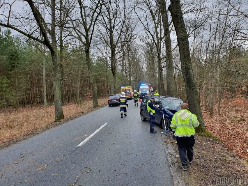 Volkswagen touran uderzył w drzewo w Murowie. Matka i jej syn w szpitalu