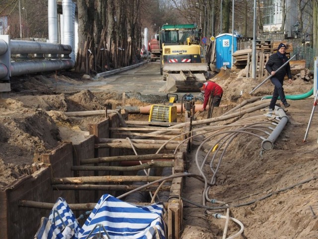 Przeciąga się remont ulicy Zdrojowej w Kołobrzegu. Będzie dłużej, ale drzewa rosnące wzdłuż drogi zostaną