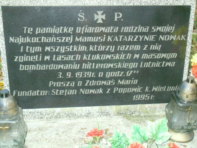 Pamiątkowa tablica, którą można odnaleźć w Borowinach