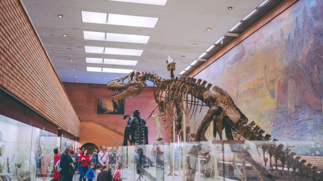 Zapewne wielu z nas w dzieciństwie przechodziło fascynację dinozaurami - ogromnymi stworzeniami, które chodziły po Ziemi miliardy lat temu. Przyczyną ich wyginięcia najprawdopodobniej była asteroida, która uderzyła w Ziemię. Dzień Dinozaura przypada na 26 lutego