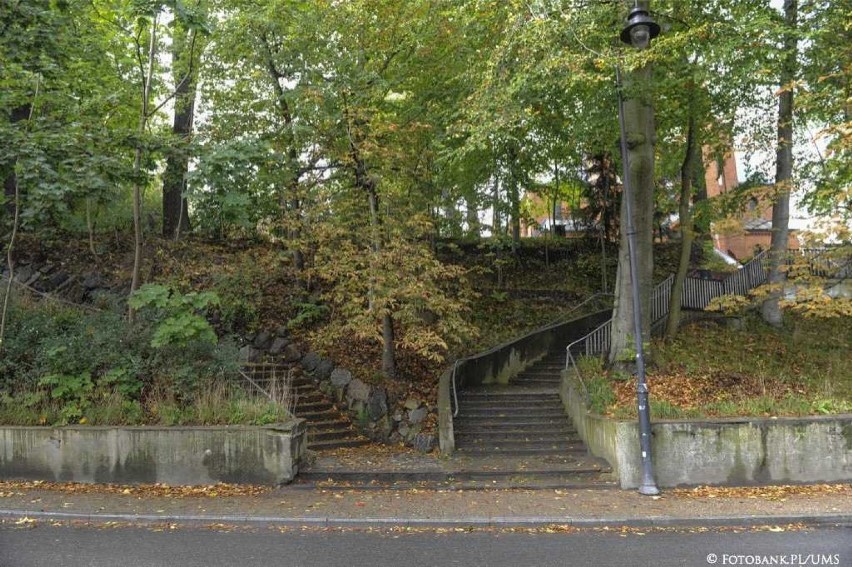 Prace budowlane na Skarpie Sopockiej. Będzie nowa zieleń i bezpieczny mur oporowy [ZDJĘCIA]