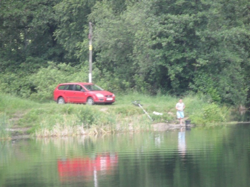 Park Lisieniec 10 lat temu