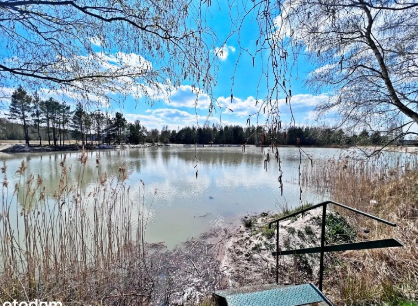 Prywatne jeziorko zlokalizowane w miejscowości Dobroszów...