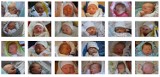Maluszki urodzone w Szpitalu Miejskim w Miastku we wrześniu 2019 roku (FOTO