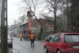 Ruszyła wycinka drzew na ul. Barlickiego. To samo czeka ul. św. Antoniego (FOTO)