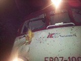 Drzewo uszkodziło pociąg pod Dobroszycami