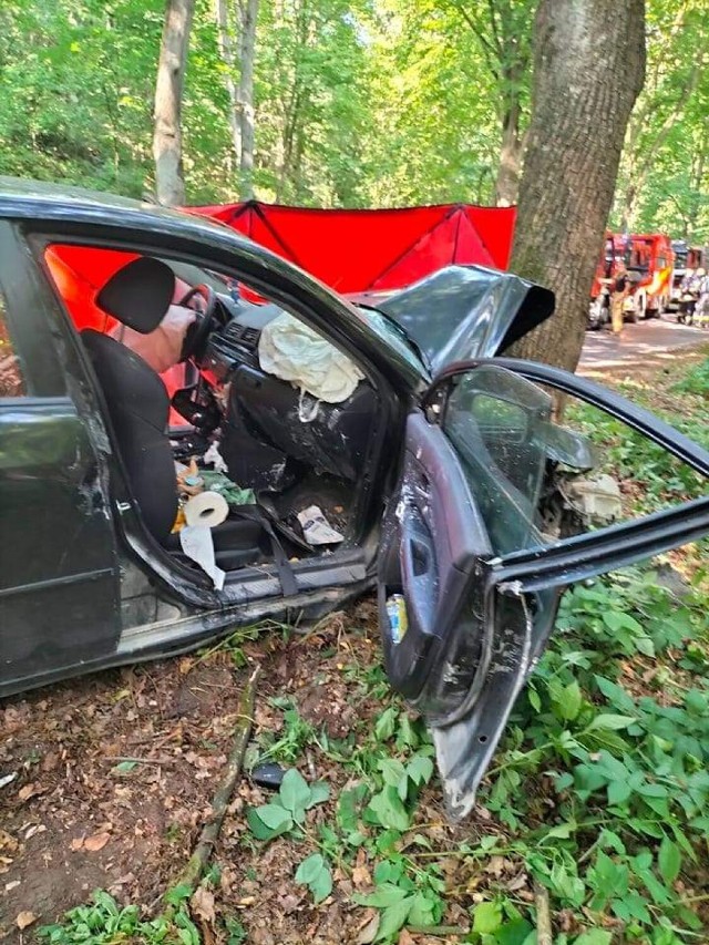 Śmiertelny wypadek w Białochowie pod Grudziądzem. Samochód uderzył w drzewo