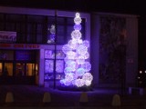 Nowe dekoracje świąteczne w Myszkowie. Przed Miejskim Domem Kultury stanęła choinka [ZDJĘCIA]
