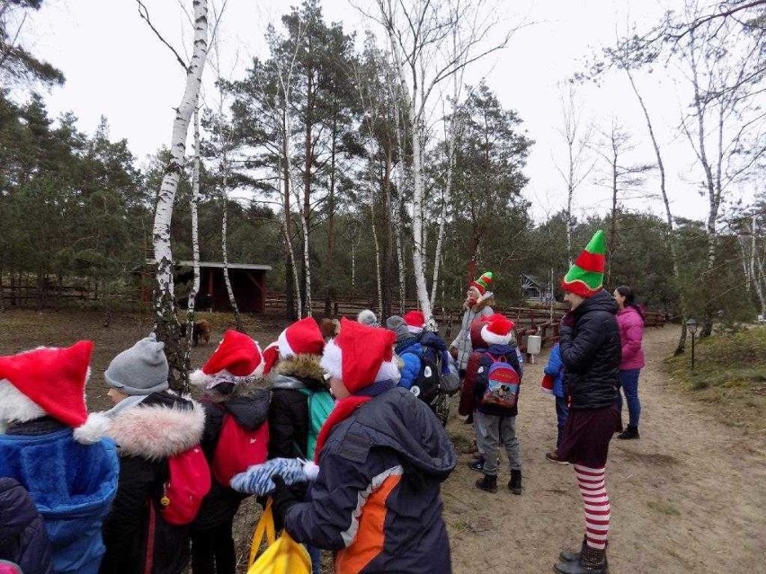 Mikołajkowa wycieczka do norweskiej wioski Arendel. Uczniowie szkoły w Kuczkowie wrócili zachwyceni