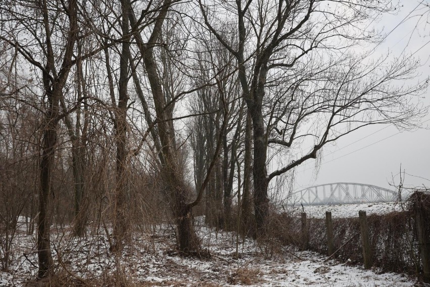 Park Grzegórzecki