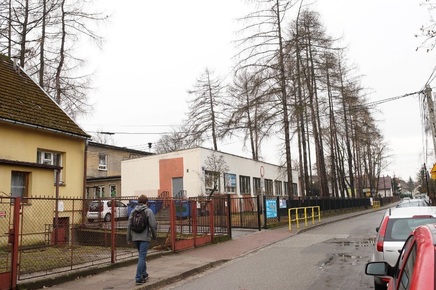 Kraków. Mieszkańcy Bronowic są oburzeni: znikają drzewa, powstaną domy