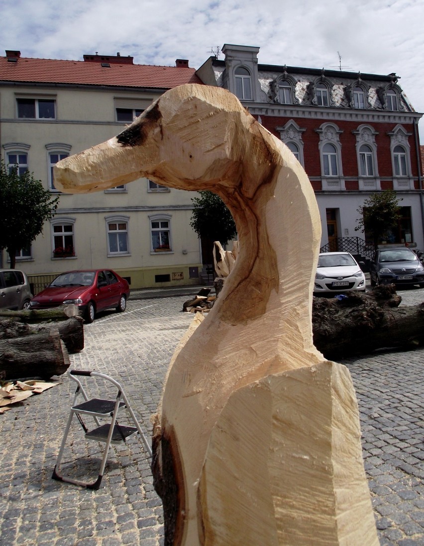 Plener rzeźbiarski na zbąszyńskim rynku 4-7 sierpnia 2016 [Zdjęcia]