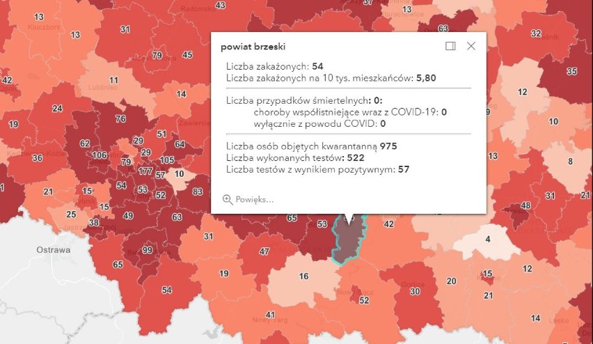 Koronawirus. Nowe zakażenia SARS-CoV-2 w Tarnowie oraz powiatach: tarnowskim, dąbrowskim, brzeskim i bocheńskim [AKTUALIZACJA 7.04]