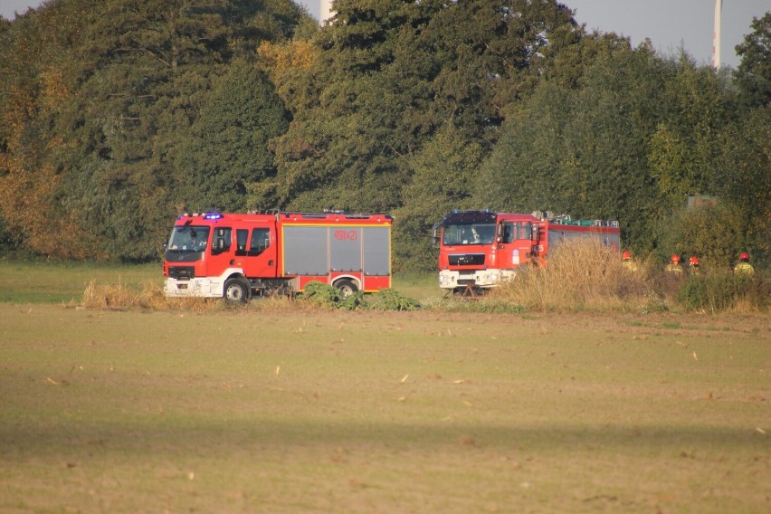 Pożar pozostałości roślinnych w Lutogniewie [ZDJĘCIA]                