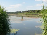 Plażowanie nad Próbą [ZDJĘCIA]