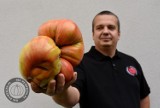 Największy pomidor w Polsce wyhodował Mateusz z Zarzecza [ZDJĘCIA]