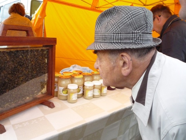 Święto Pszczoły 2014 w Okszowie