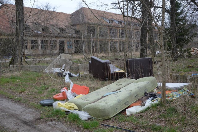 Czas pandemii nie jest dobrym okresem na wielkie sprzątanie lub remonty, a wyrzucanie śmieci do lasów jest karygodne.