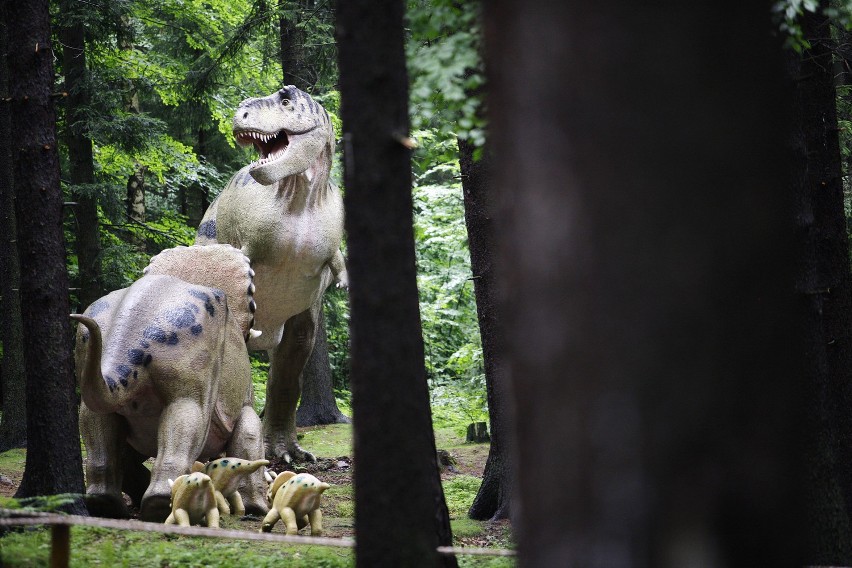 Szklarska Poręba: Dinopark już otwarty (ZDJĘCIA)