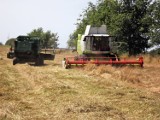 W powiecie sławieńskim rozpoczęły się tzw. małe żniwa ZDJĘCIA