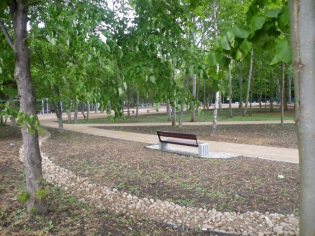 park przygodna szczecin