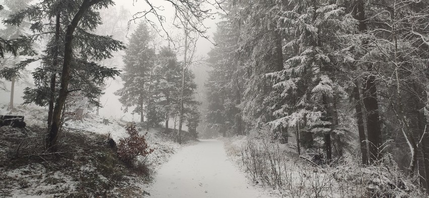 Zdjęcia zimy w Górach Orlickich. W końcu jest biało! 
