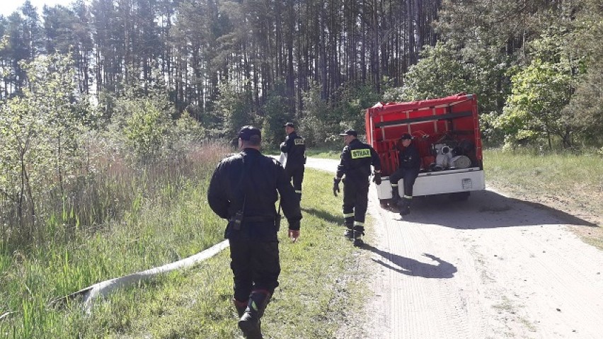 Złotowscy strażacy doskonalili się w obszarach leśnych