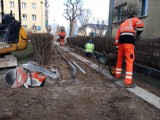 Nowe dojścia do bloków przy Kopernika 1 i 3. SM Małopolska razem z miastem realizują inwestycję z budżetu obywatelskiego