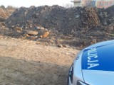 Pruszcz Gdański: Policjanci dwukrotnie zabezpieczali miejsca odnalezienia niewybuchów [ZDJĘCIA]
