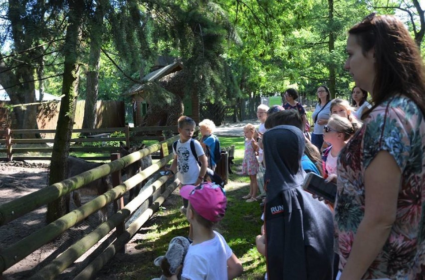 Poznawali atrakcje nowotomyskiego Ogrodu Zoologicznego