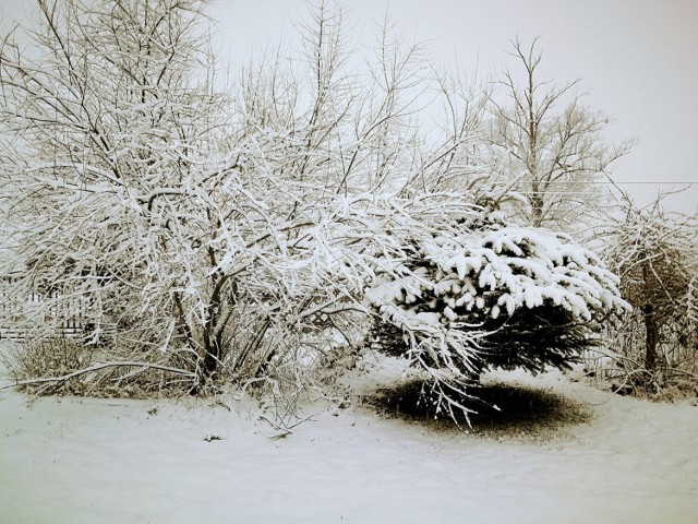 Zima w Żaganiu i okolicach w piątek 10 grudnia 2021