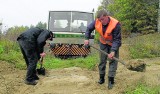 Słupsk - Bytów. Drezyniarze chcą ocalić linię kolejową nr 212