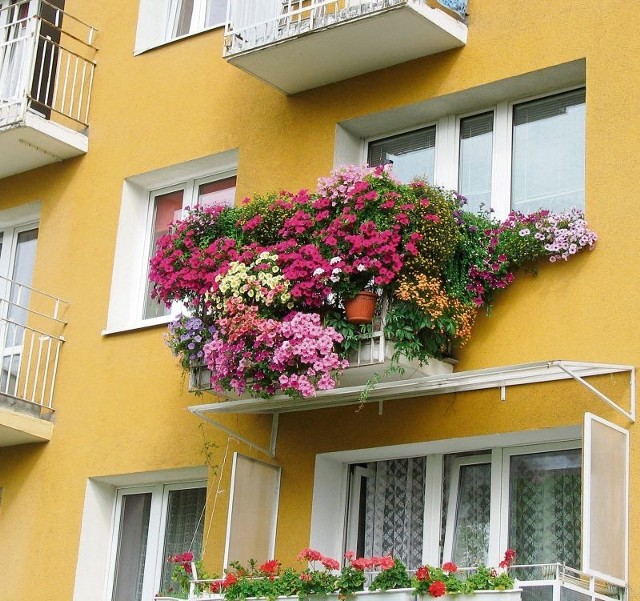 W 2010 r.  zwyciężył balkon Emilii Drygas na os. Pod Lipami