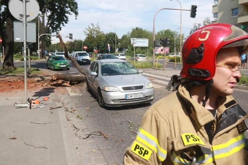 Konar drzewa spadł na jadący samochód na Kromera! [ZDJĘCIA]