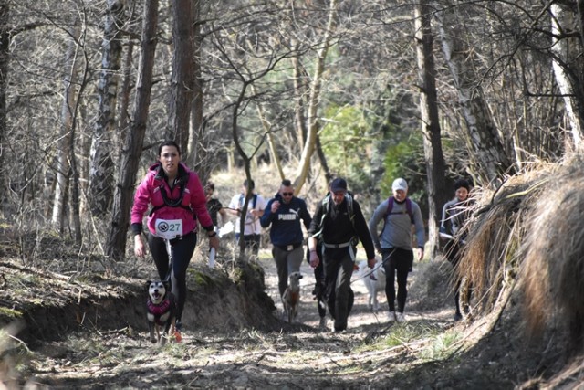 Wielkopolski Dogtrekking na Łęgach Mechlińskich 2022. Ponad 80 uczestników wraz z psami stawiło się na psiej imprezie pod Śremem