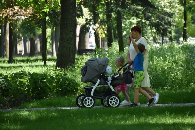 Piękna pogoda i spacer w Parku Tysiąclecia w Krośnie Odrzańskim.