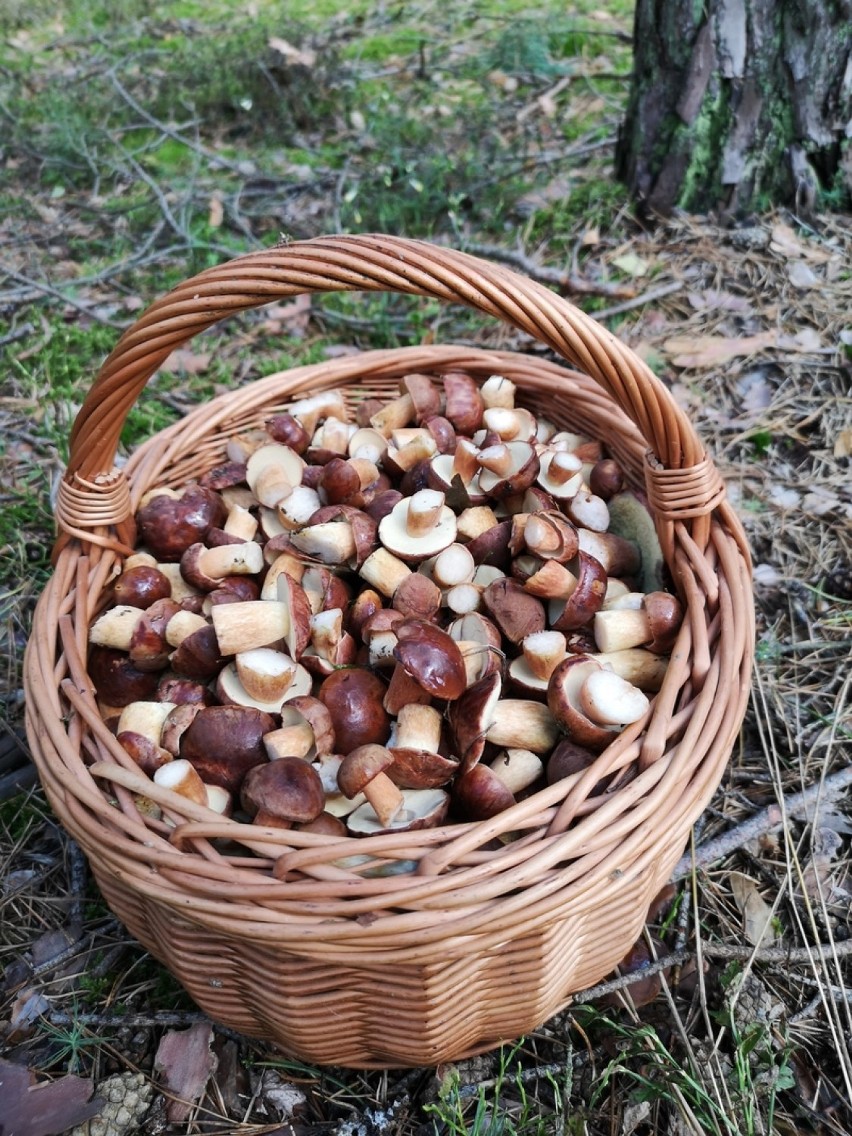 Zdjęcie mieszkańca woj. łódzkiego umieszczone na portalu...