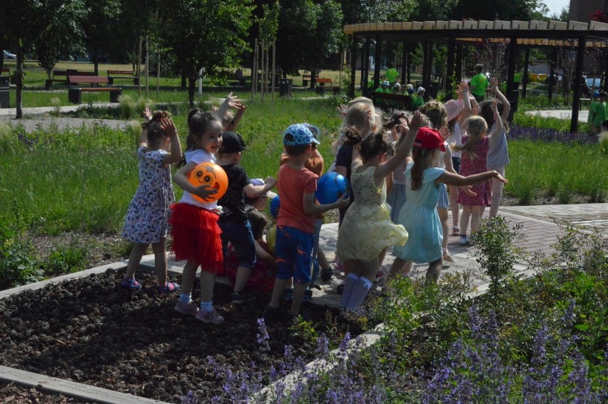 "Ogrody na Ogrodach" oficjalnie otwarte. Korzystają dzieci i dorośli (ZDJĘCIA)