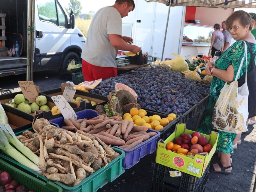 Ceny warzyw i owoców na targu w Radziejowie, 16 sierpnia