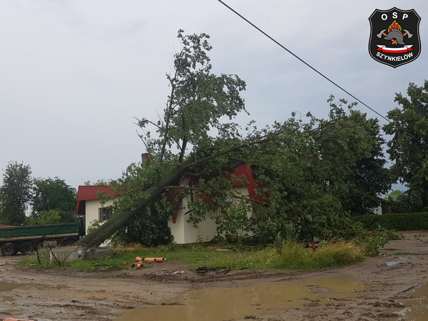 Zniszczenia po nawałnicy we Wrońsku