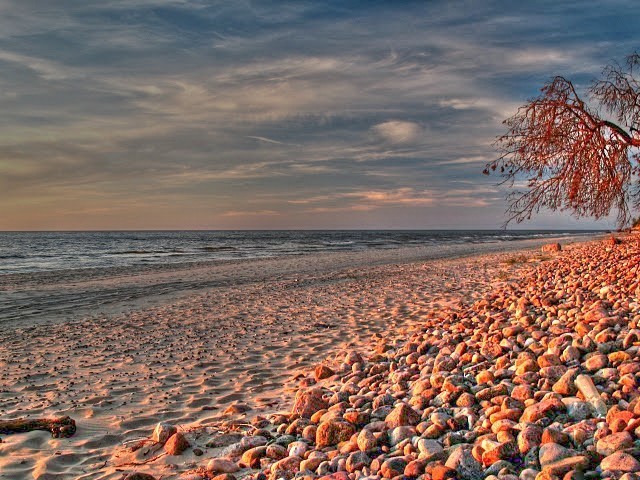 Kamienista plaża w Orłowie