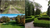 TOP 11 ustronnych miejsc na rodzinny spacer w Tarnowie i okolicy. Lasy, parki i ścieżki maksymalnie godzinę drogi od Tarnowa [MAJ 2024]
